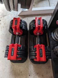 Pair Adjustable Dumbbells to 50lbs weights hex dumbells
