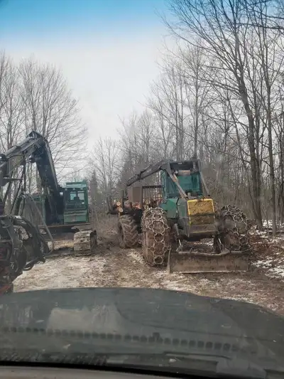 Wanted standing cedar and pine clear cut strip cut great for hunting building lots or for the future...
