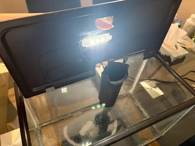 Fish tank in Other in Mississauga / Peel Region - Image 2