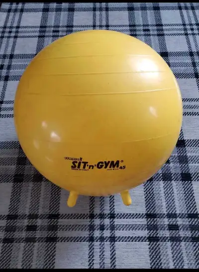 Sit n Gym Exercise Ball., View more