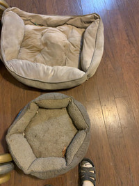 Dog bed for sale