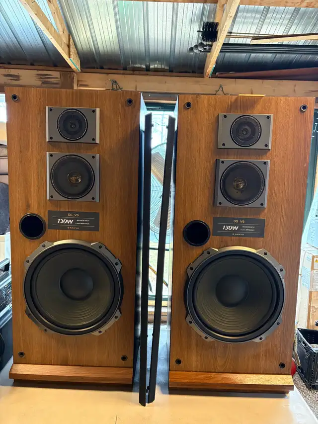 Sanyo SS V6 Speakers