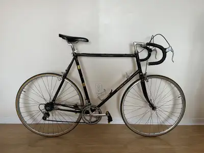 Vélo de route NORCO 12 vitesses . Cadre 62 cm . Très bon état .