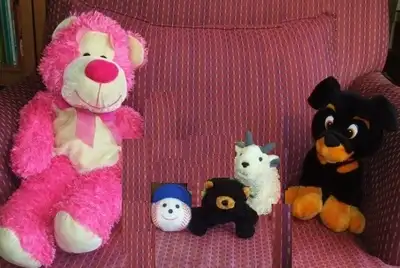 Five Stuffies, View more