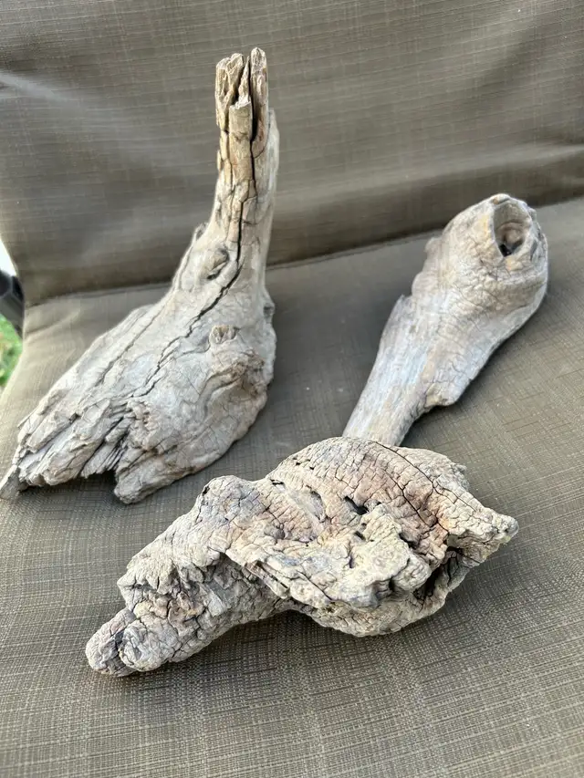 DRIFTWOOD 64519992410883122