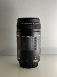 Objectif canon EF 75-300mm F/4-5.6