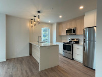 2 Bedroom, 1 Bathroom apartment in the heart of Montreal!