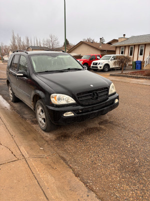 2003 Mercedes-Benz M-Class