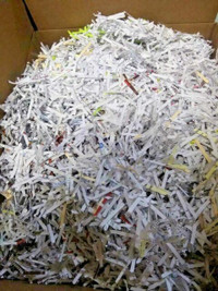 Wanted Clean Shredded Paper