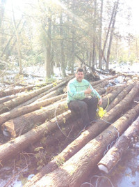 Cedar Lumber and Cedar Products