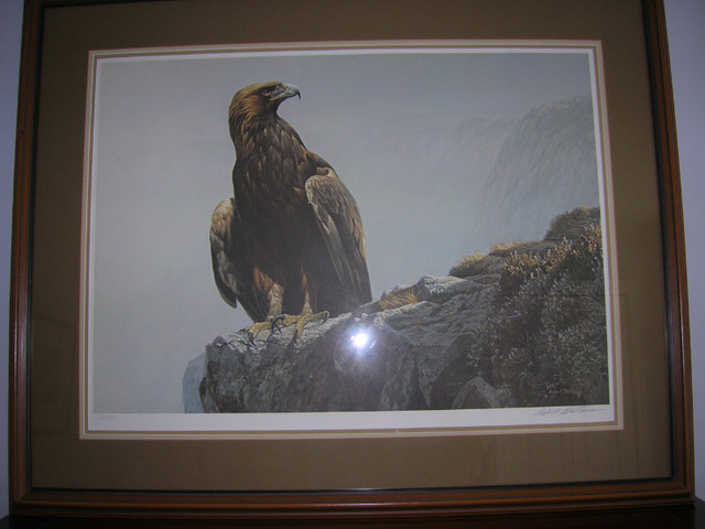Robert Bateman Limited Edition Print in Arts & Collectibles in Kingston