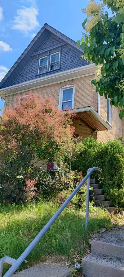International Students a fully furnished 1 bedroom apartment available September 1. Next to Traill C...