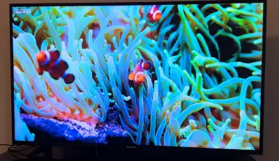 Sharp 55 inch 4K Ultra HD smart LED, View more