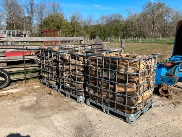 Firewood For Sale in Fireplace & Firewood in Owen Sound - Image 4