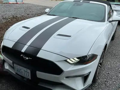 2022 Ford Mustang Ecoboost Convertible - Serious buyers only. 24,000 km Mint condition inside and ou...