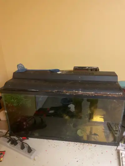 Aquarium, View more