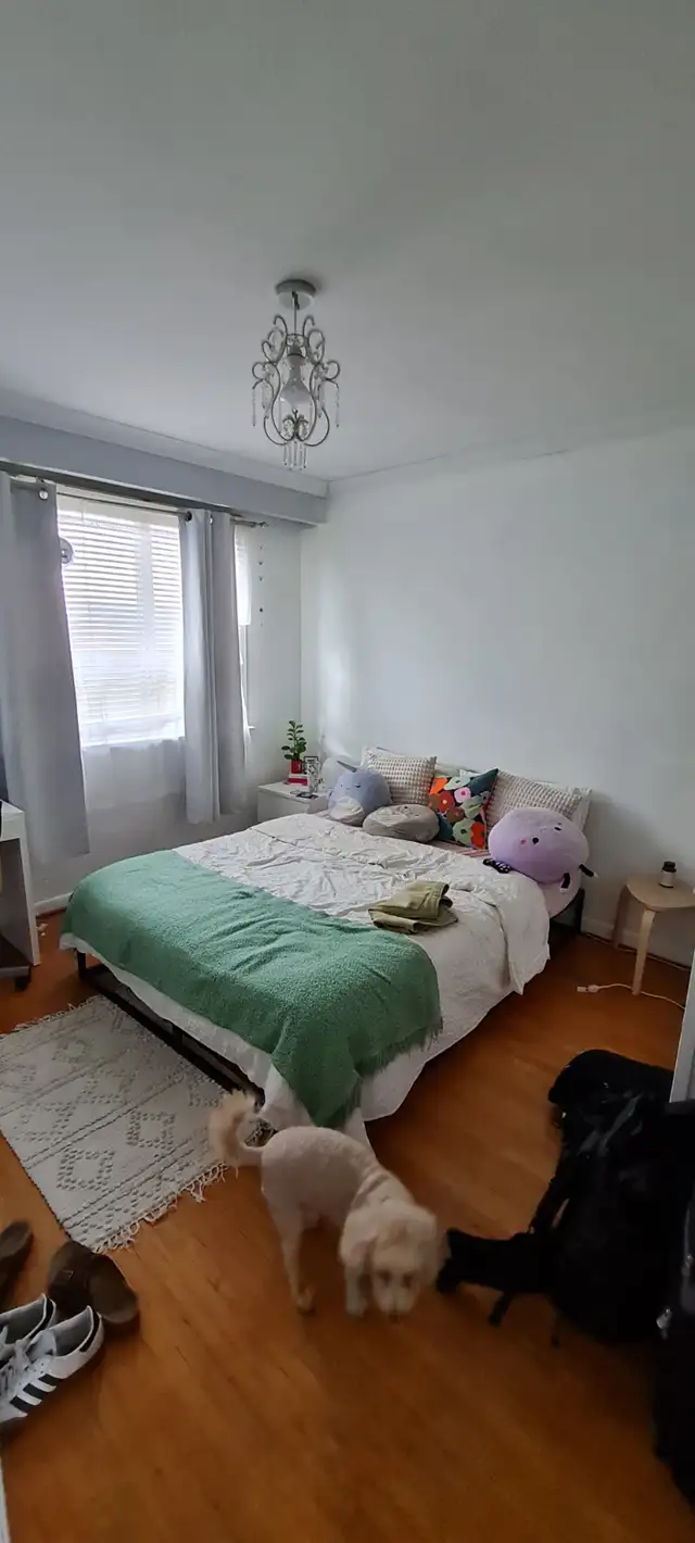Apartment for rent available Oct.1st/2025.2k, month roof patio63848999990785121