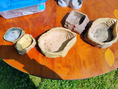 Reptile Dishes Assorted Sizes, View more
