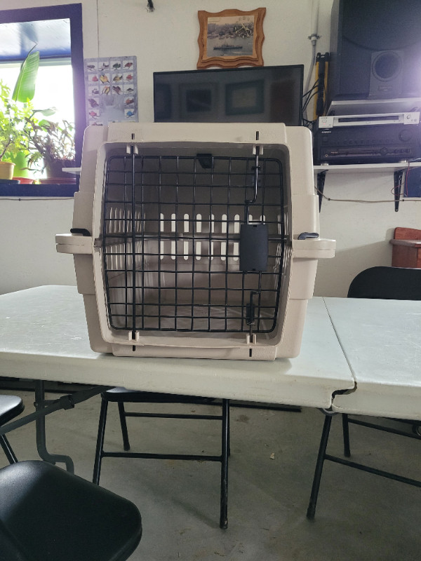 Small Pet Carrier in Accessories in Trenton