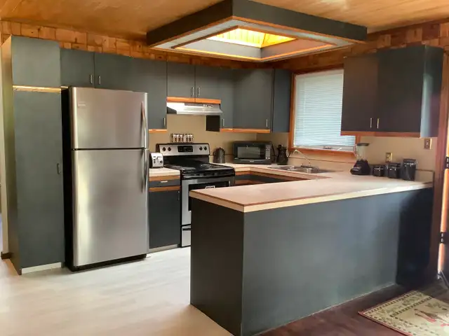 Jan Lake, Sask. Cabin for Sale in Houses for Sale in Regina - Image 5