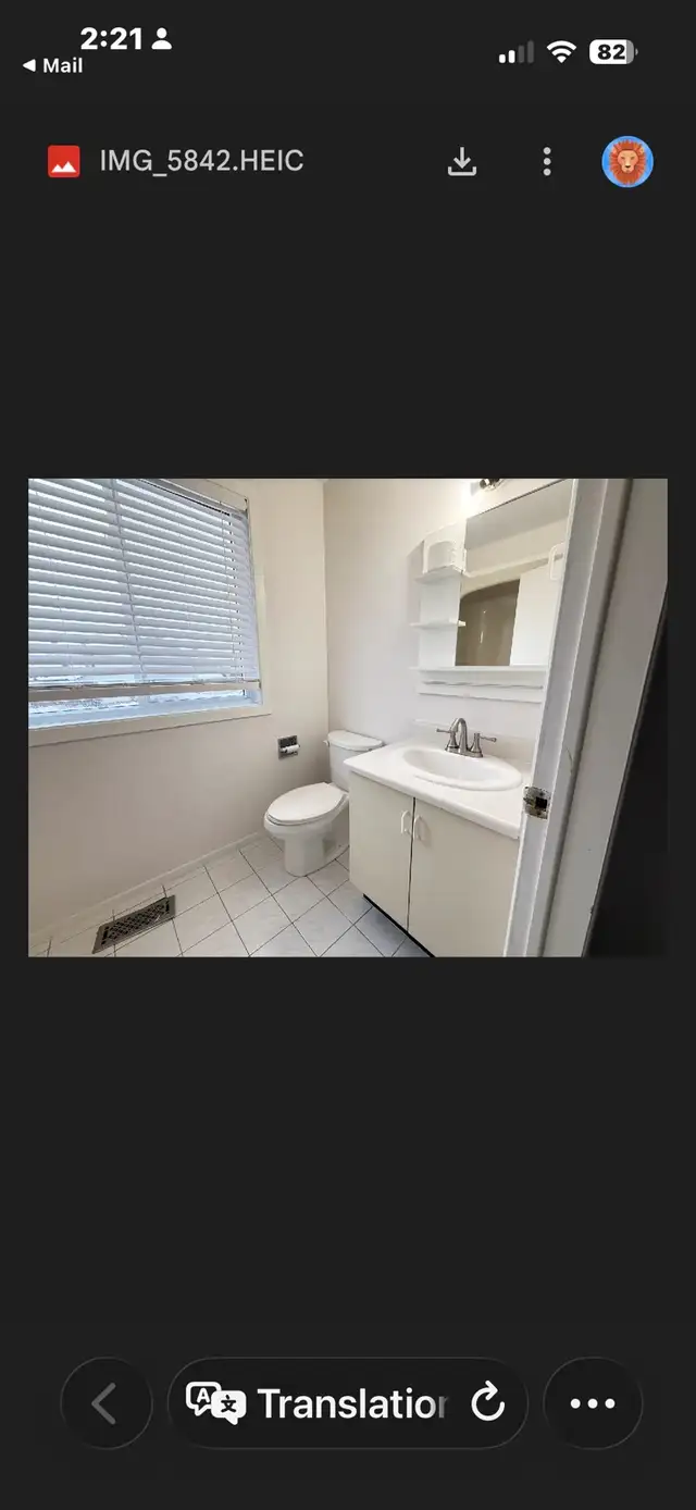 Photo 5