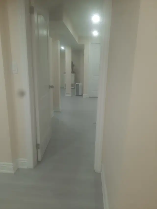 Brampton, 1Bdrm Legal Basement available  Oct 1.