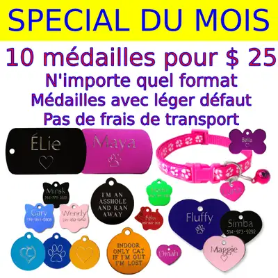 Médaille Gravée Personnalisée pour Chien et Chat** $ 5.99 **, View more