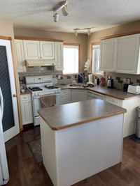 Kitchen Cabinets, Countertops, Sink and Island