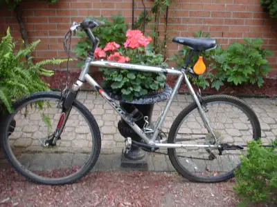 Full size Janis explorer road bike, View more