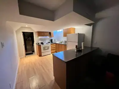 basement in richmond hill to rent