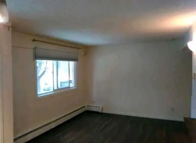 Highly Skilled Painter looking for Work (reasonable pricing)435641565074565126