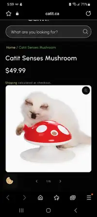 Mushroom Cat Toy