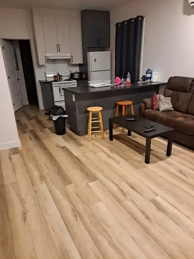 3 1/2 tout meublé internet inclus CHIEN ACCEPTÉ thermopompe. 75$ hydro etc par mois. Centre-ville pr...