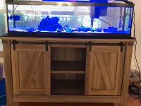 Great Deal ! 33 Gallon Saltwater Aquarium With Stand Plus More