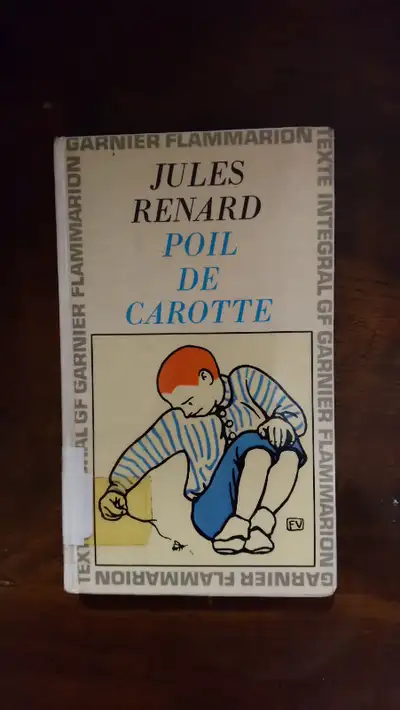 Je vends le roman de Jules Renard, Poil de Carotte. Le livre est en bon état. Si vous êtes intéressé...