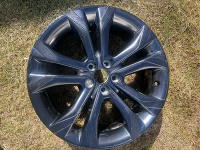 20 x 7.5 aluminum rims off of a 2024 Toyota Sienna. 5x114.3mm (5x4.5”)bolt pattern