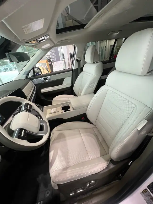 2025 Hyundai Santa Fe in Other in Red Deer - Image 4