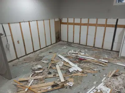 Renovation Handyman Painting Repair, View more