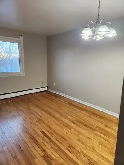 3 bedroom that your cat will love!!