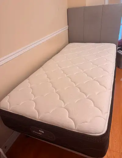 Twin XL Mattress with headboard and frames, View more