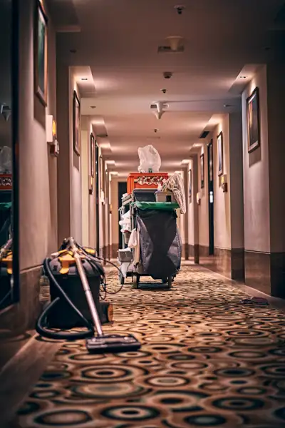 Tbay Professional Cleaning Services – Homes, Apartments, Offices, View more