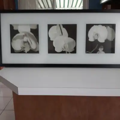 BEAU CADRE NEUF BLANC+NOIR À 3 ORCHIDÉES 28"LARGx12"HAUT: $20.00, View more