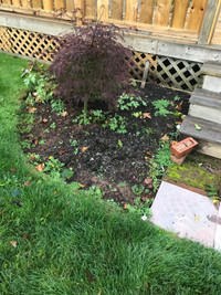 Landscaping Services 