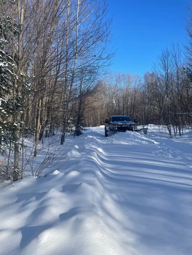 Snow Removal 65561335374338123