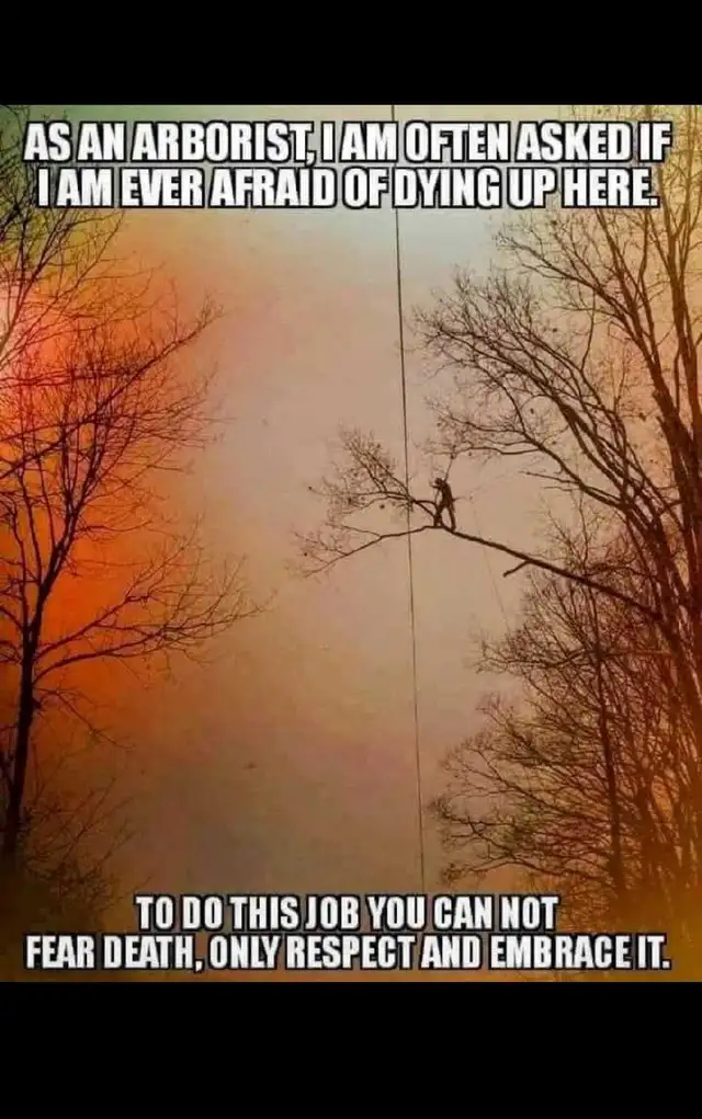 ISO of Running Vehicle! in Other in Red Deer - Image 9