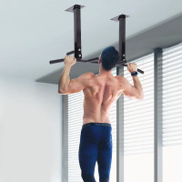 Ceiling Mounted Pull Up Bar 