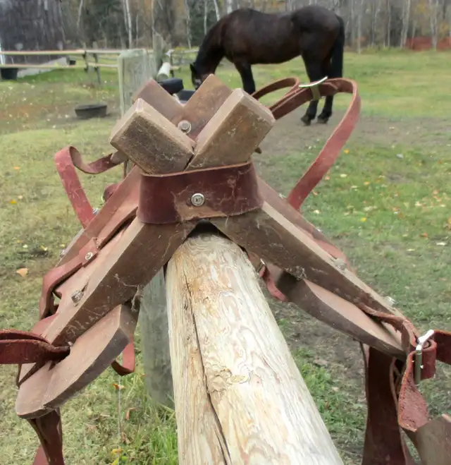 Pack saddle, sawbuck with some rigging, located Dawson Crk in Equestrian & Livestock Accessories in Dawson Creek - Image 7