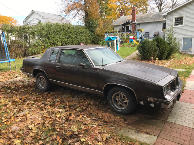 1984 Oldsmobile Cutlass Supreme in Classic Cars in Kawartha Lakes - Image 2