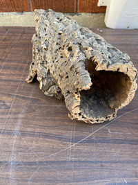 Cork bark