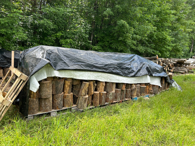 Firewood For Sale in Other in Kingston - Image 4